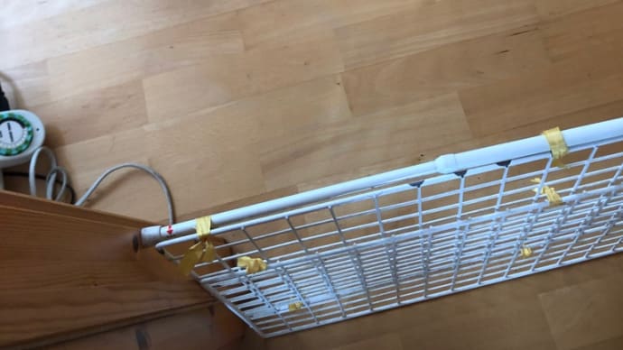 おめでとう!