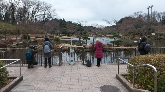 今日のこども自然公園
