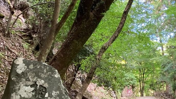 2022年 夏休み旅③ 京都 高山寺 伏見稲荷神社 勝林寺