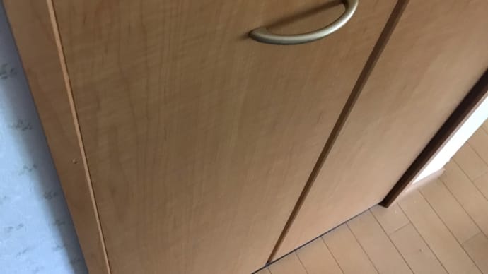 ぎゃあああオン!と叫ぶ猫