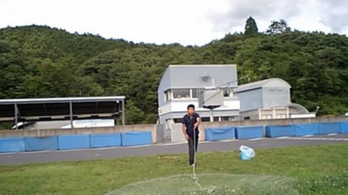 今日から解禁