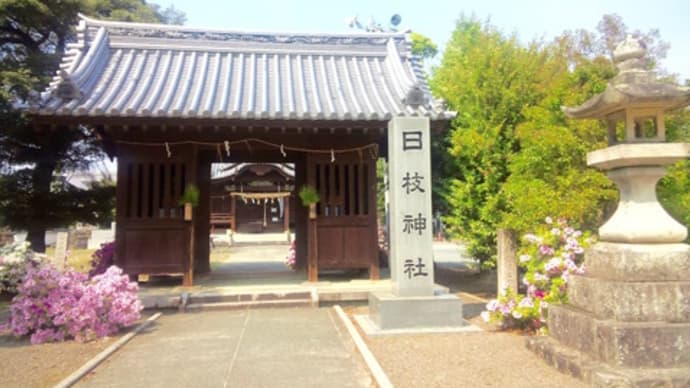巨木探訪・日枝神社のクスノキ