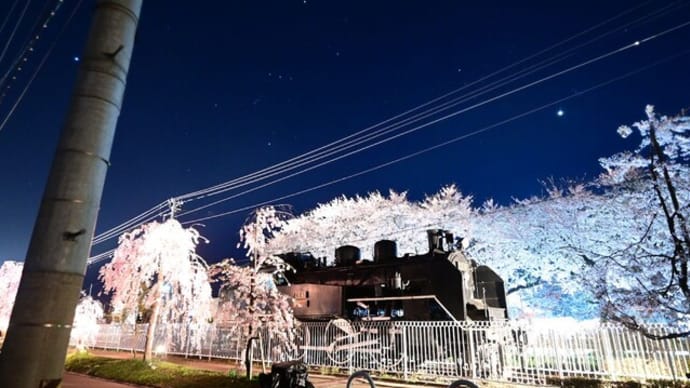 日中線しだれ桜2023（星しか撮れない男が桜を撮るとこうなる）