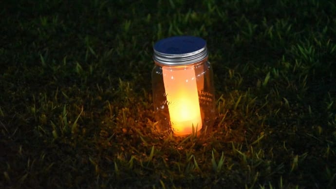 さぁ、夜の植物園へ 神奈川県鎌倉市 日比谷花壇大船フラワーセンター(7)ライトアップ