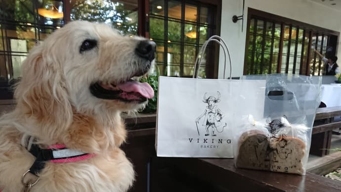 銀座ウエスト青山ガーデン で犬と一緒にお食事