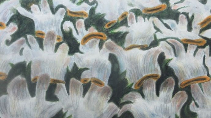楽描き水彩画「鉄道員宿舎の裏庭」