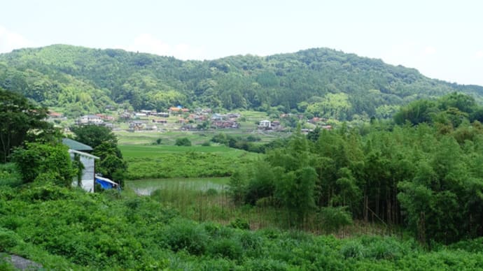 峯さんのアジサイ園