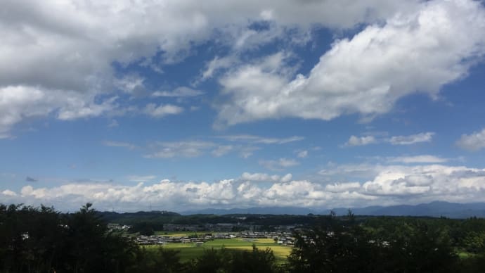 天命の導くところ、自分なりの開花