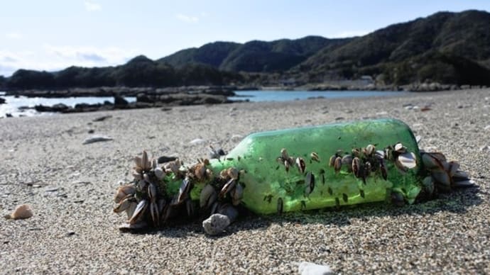 流れ着いたもの一つ~竜串・桜浜海水浴場