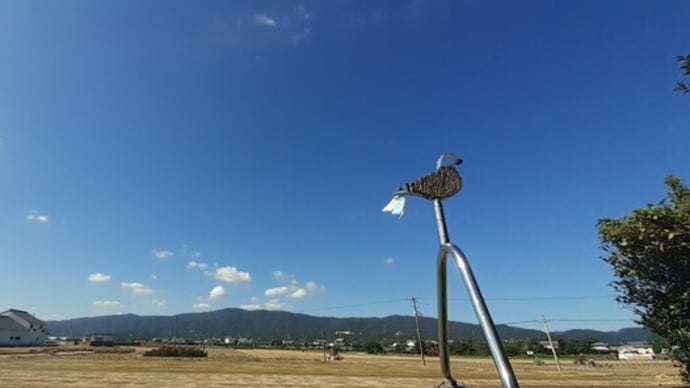 今日の和久屋とイベントのお知らせ