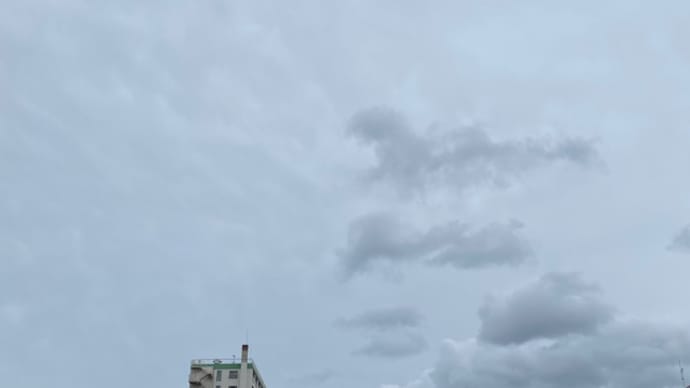美しさを引き出す食事で栄養バランスを整え方