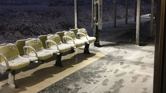 大雪警報