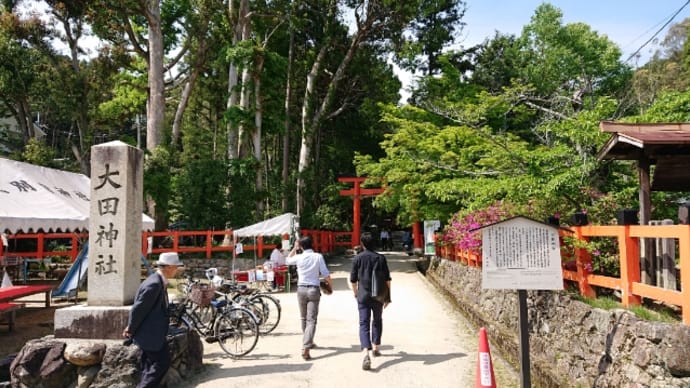 「大田神社」〜上賀茂神社の境外摂社で、国の天然記念物の杜若の名所で有名な神社✨