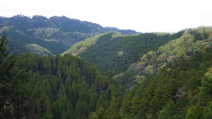 高尾山ハートルートを行く