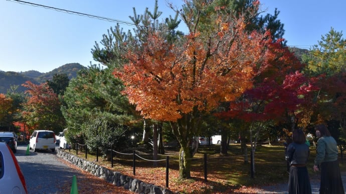 もみじ狩り 京都府右京区 紅葉名所めぐり4日目 【2】-(3)臨済宗 大本山 天龍寺 庫裏(くり)、方丈