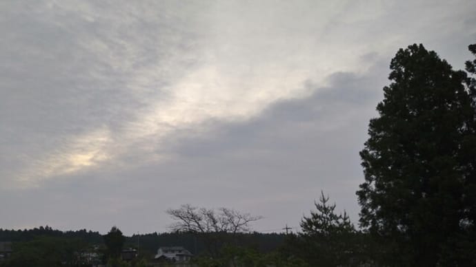 伊万里焼の器の空