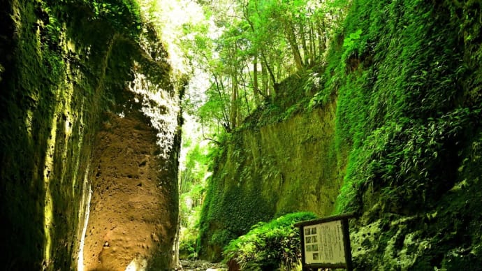 神秘の伊尾木洞