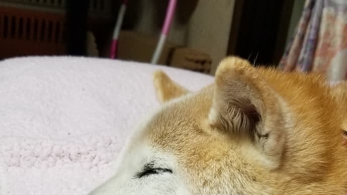 いや~疲れたよ