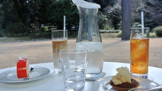 東京都庭園美術館、 『café TEIEN (カフェ庭園)』 のテラスで一休み。