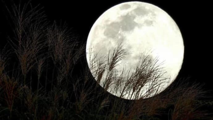 中秋の名月と お月見　2023年9月27日（水）
