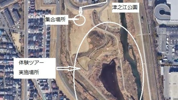 津之江公園自然再生エリア体験ツアーを実施
