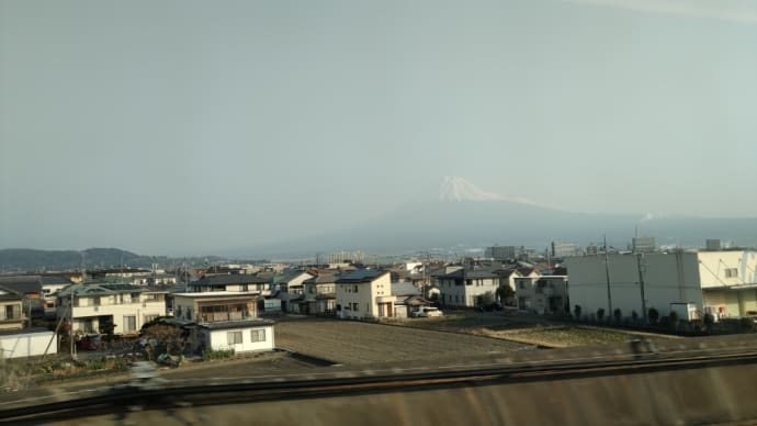 出張で鳥取県に来ています。