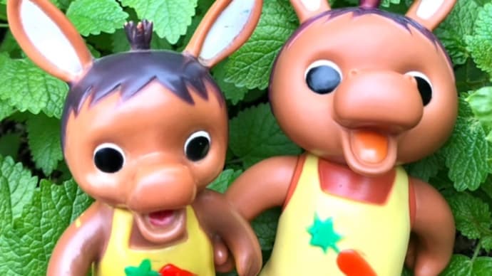 ロバくんとレモンバームの葉