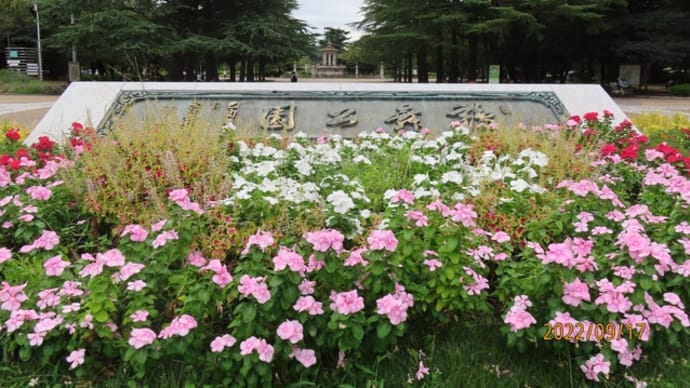 maria の旅ラン・鶴舞公園へ・到着