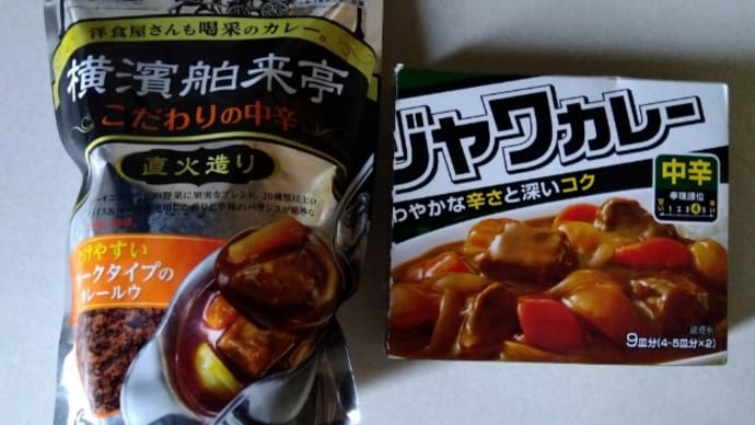 ただ今 カレー大臣