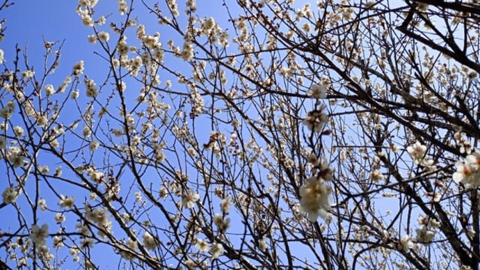 2025-04-16 Photo