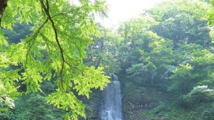 涼を求めて玉簾の滝に