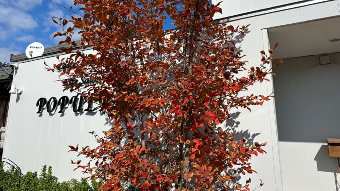 今年の紅葉は・・・