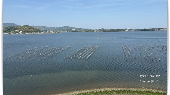 お天気に恵まれても渋い顔( ̄▽ ̄;)