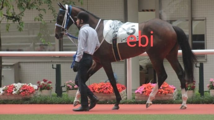 レーヴスレアリーズ　2023年6月11日阪神３歳未勝利　岩田望騎手