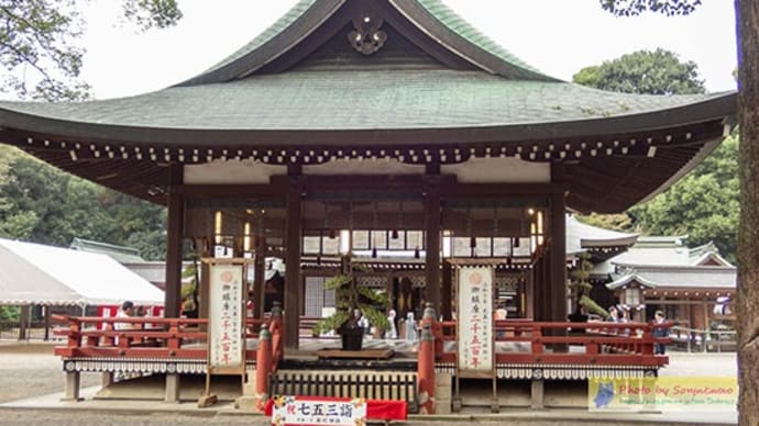 余談です。