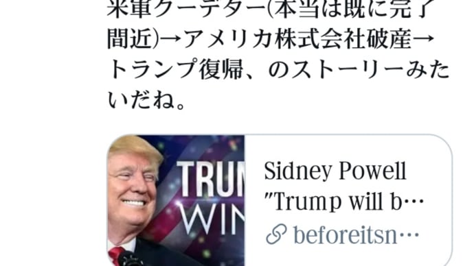 トランプ大統領復帰!アメリカ株式会社破産!シドニー・パウエル弁護士、トランプは復権するリン・ウッドとフリン将軍が情熱【トランプが勝った】日本政府も株式会社です!大統領の新しい就任式の日が設定されて