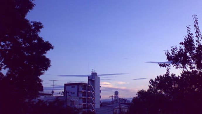 施主の仕事