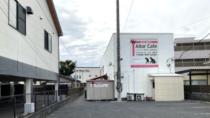 🍀アイトールカフェ🍀202401