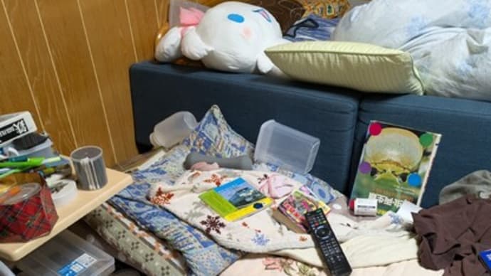 なかなかできない部屋の片づけ