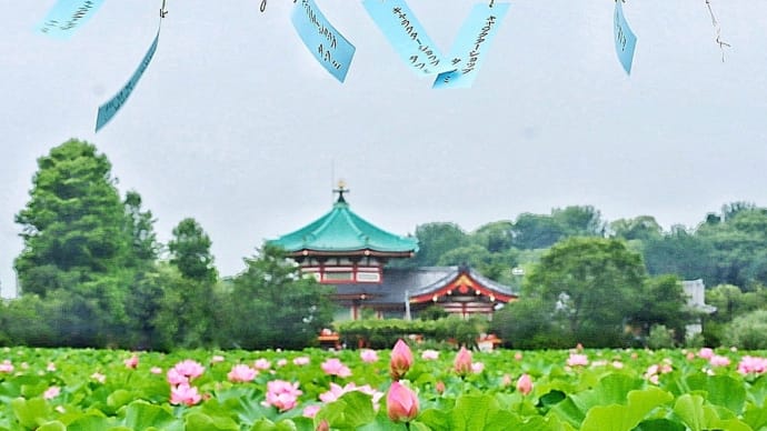 しのばず風鈴回廊・°*