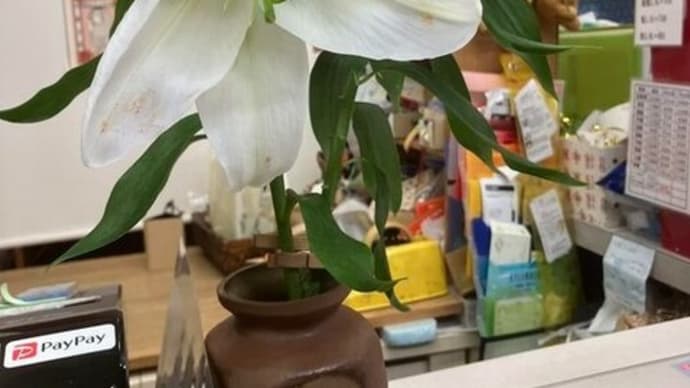 花のある暮らし・今日の切り花