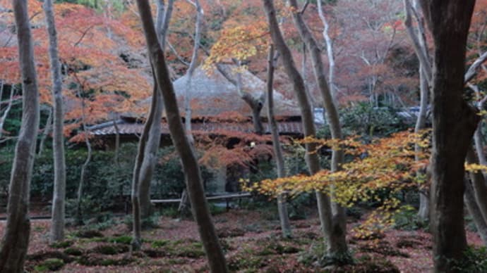 2013年・祇王寺の紅葉　＠　京都妖怪探訪（３２４）