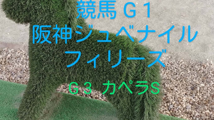競馬G1 阪神ジュベナイルフィリーズ G3 カペラステークス 最終予想と買い目