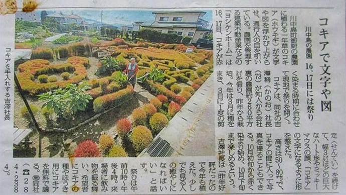 コキアでアート in 長野市 ヨシケンガーデン