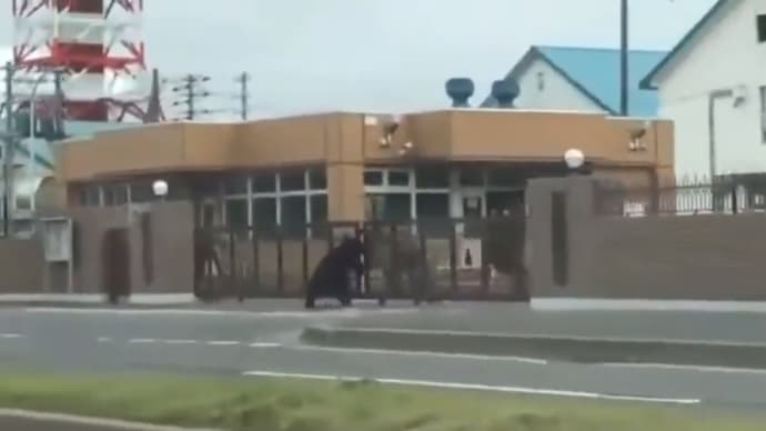 朝から大騒ぎ