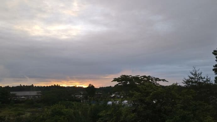 緑の葉っぱの空