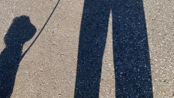 落ち葉堆肥 仕込みます