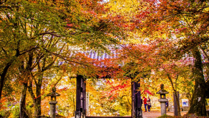 紅葉はタイミングが命🍁