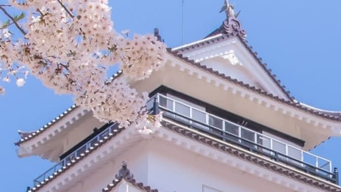 愛しき日々