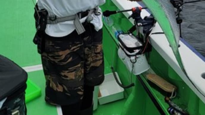 ショートタチウオ